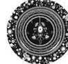 12" Charger - Flower Black Set/2